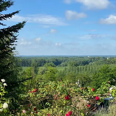 Ferienhaus Villa Luxueuse Pmr Avec Ascenseur Spa Et Piscine 12 Personnes
