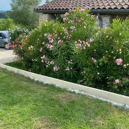 Ferienhaus Villa Luxueuse Pmr Avec Ascenseur Spa Et Piscine 12 Personnes *