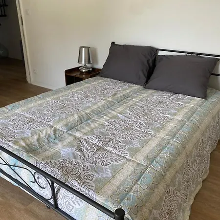 別荘 Villa Luxueuse Pmr Avec Ascenseur Spa Et Piscine 12 Personnes *