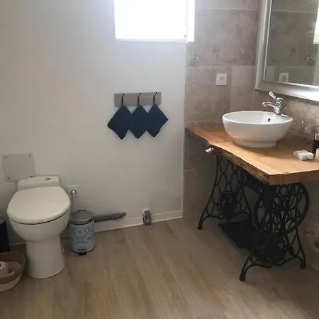 Villa Luxueuse Pmr Avec Ascenseur Spa Et Piscine 12 Personnes *