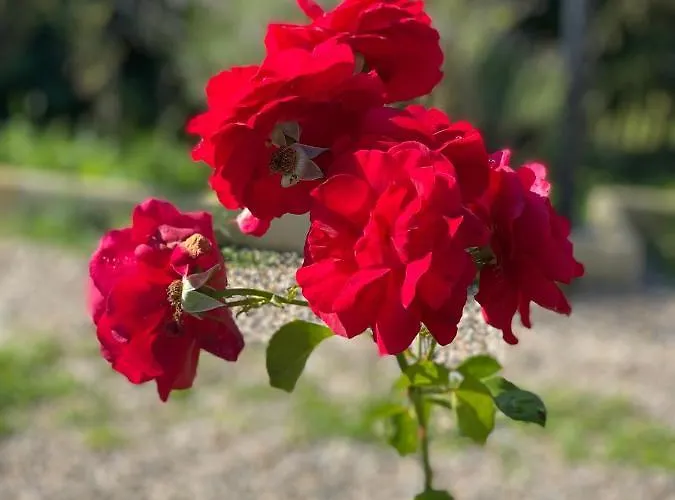 Maison Viticole Confortable Avec Vue Panoramique Ferienhaus *